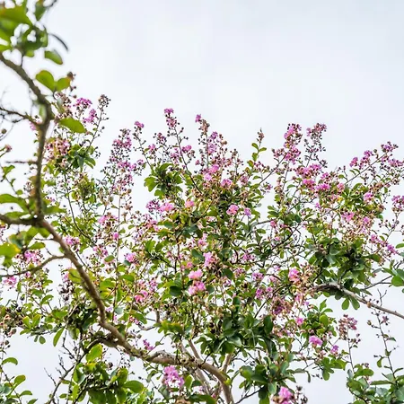 Lägenhet Casalborsetti - Affitti Brevi Italia *