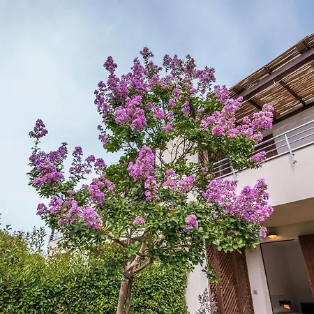 Casalborsetti - Affitti Brevi Italia Lägenhet Casal Borsetti