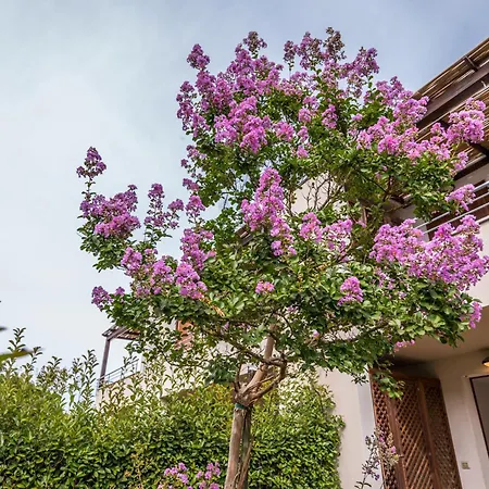 Casalborsetti - Affitti Brevi Italia *