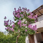 Casalborsetti - Affitti Brevi Italia Lejlighed Casal Borsetti