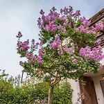 Casalborsetti - Affitti Brevi Italia *