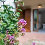 Casalborsetti - Affitti Brevi Italia *