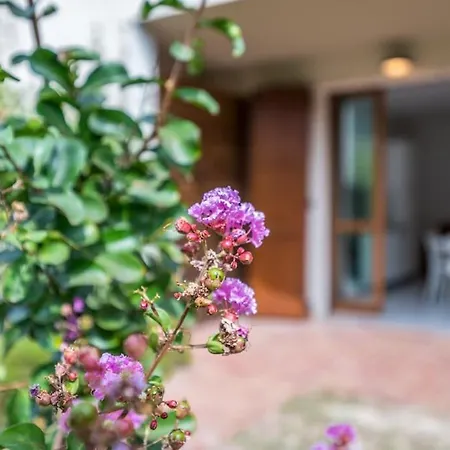 Casalborsetti - Affitti Brevi Italia *